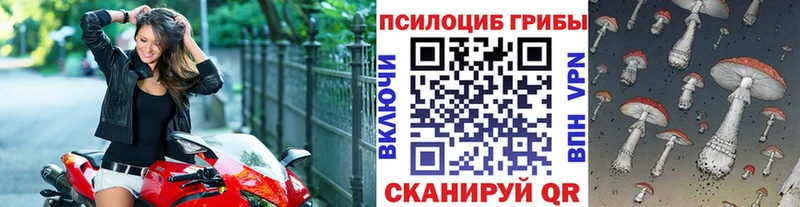 Галлюциногенные грибы мицелий  Купить  Весьегонск 